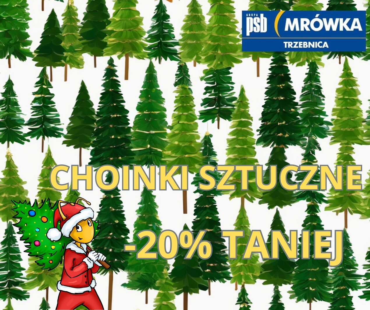 zdjęcie na stronie głównej